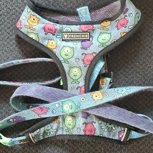 Dog harness and leash